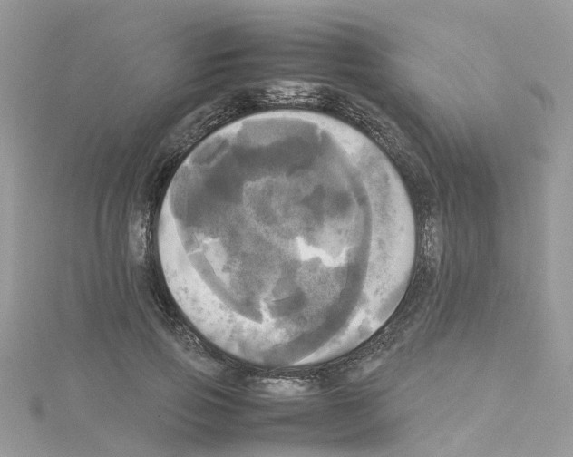 X0000114110741200911161118