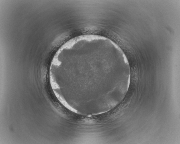 X0000114110742200911161118