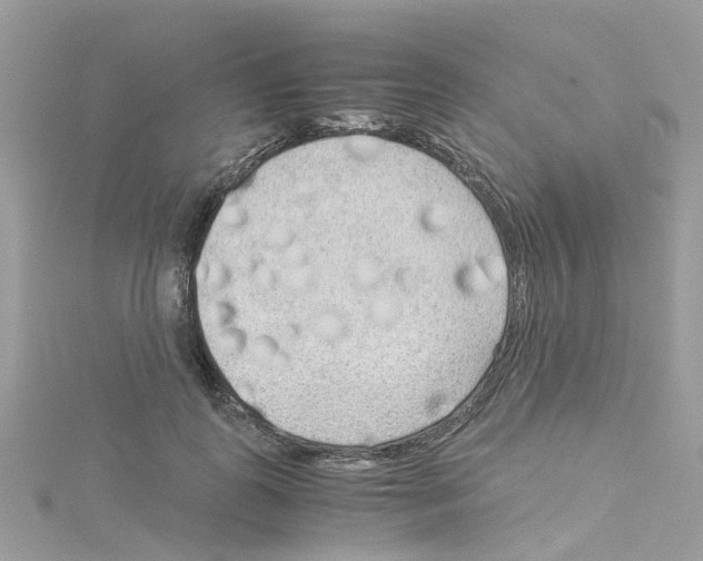 X0000114110747200911161118