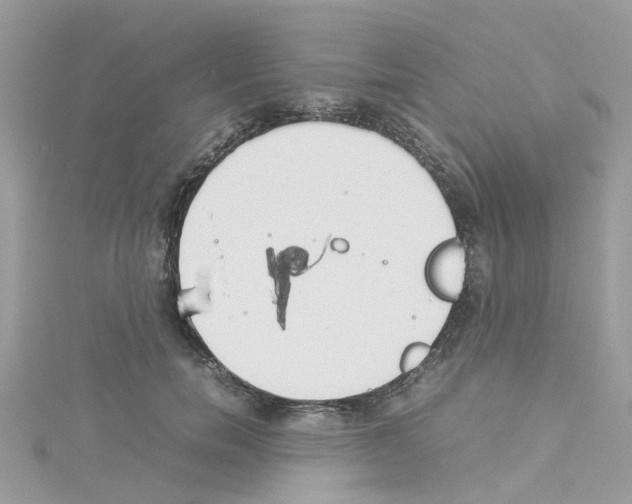 X0000114110750200911161118