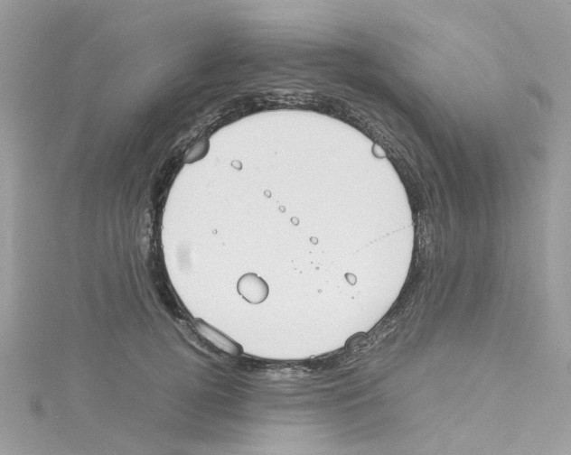 X0000114110752200911161118