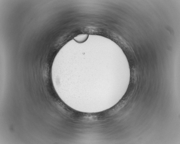 X0000114110760200911161118