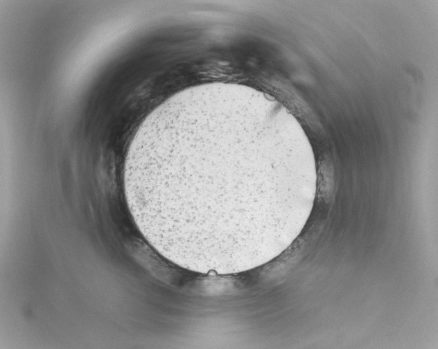 X0000114110762200911161118