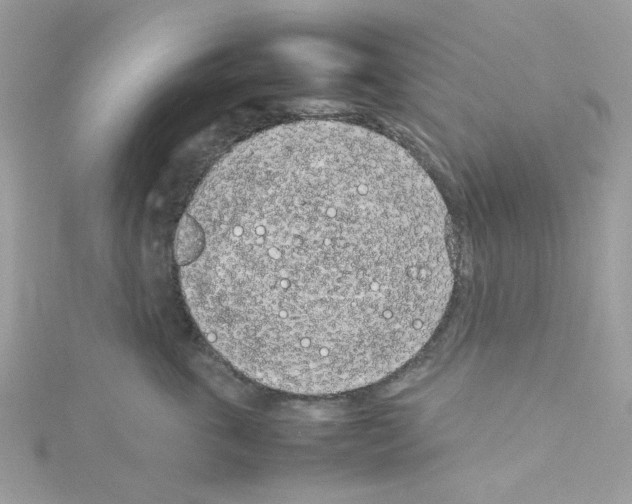 X0000114110763200911161118