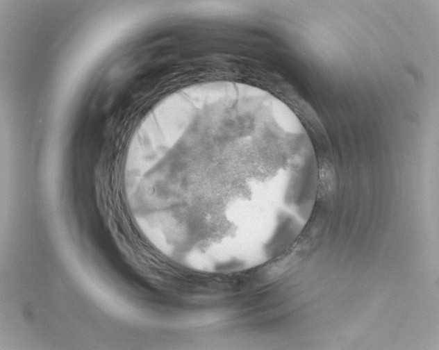 X0000114110765200911161118