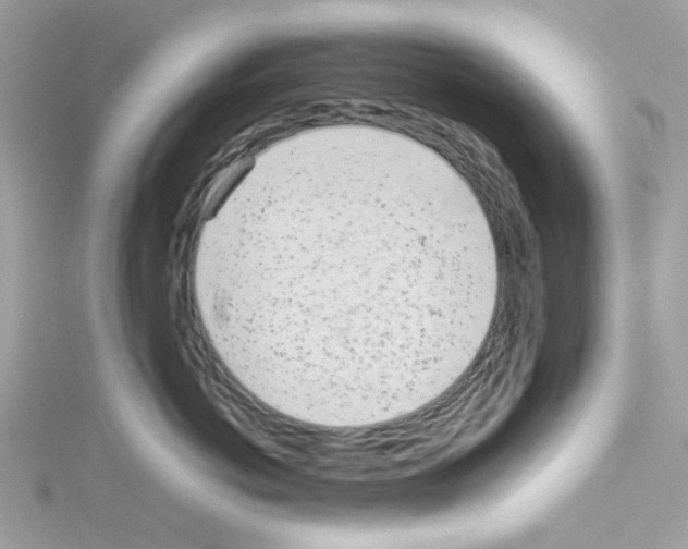 X0000114110766200911161118