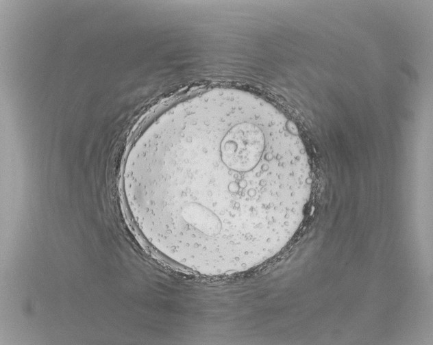 X0000114110769200911161118