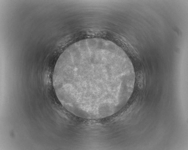 X0000114110770200911161118