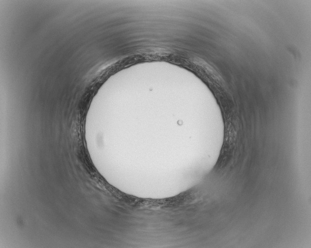 X0000114110773200911161118