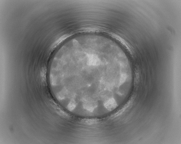 X0000114110778200911161118