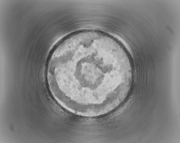 X0000114110783200911161118