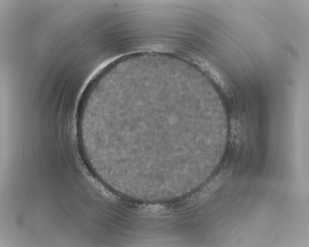 X0000114110784200911161118