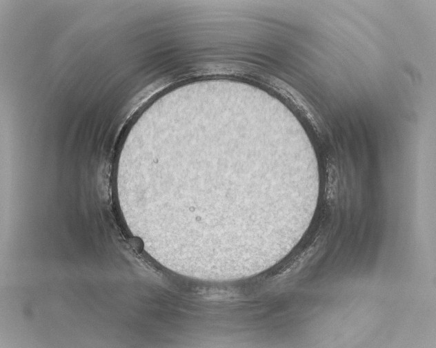 X0000114110786200911161118