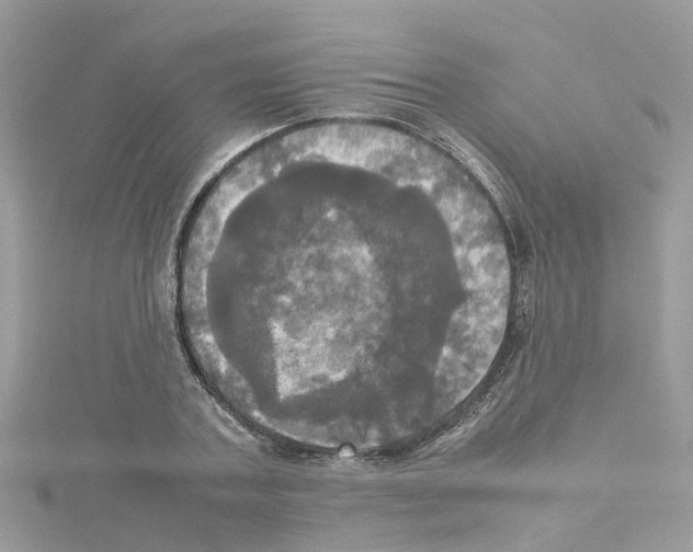 X0000114110787200911161118