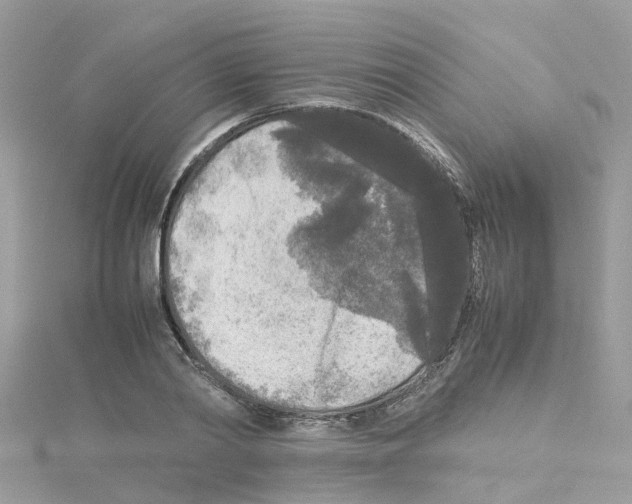 X0000114110790200911161118