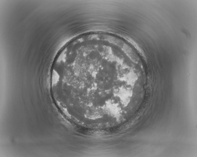 X0000114110791200911161118