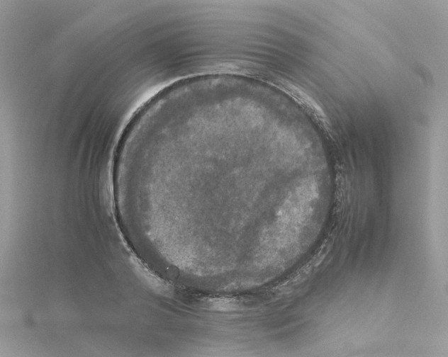 X0000114110792200911161118