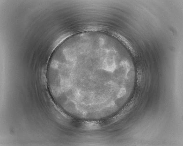 X0000114110794200911161118