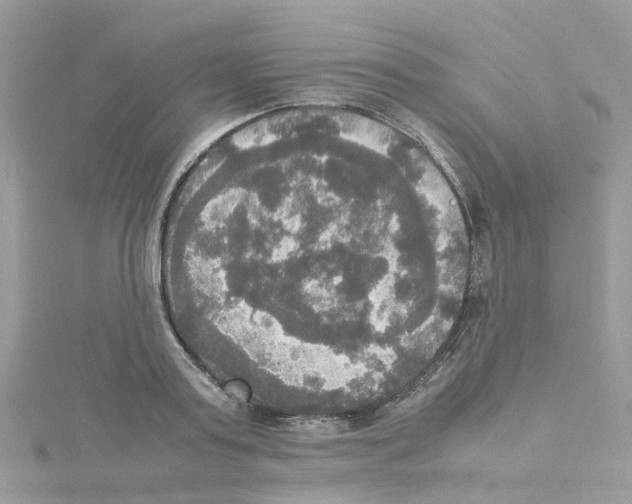 X0000114110795200911161118