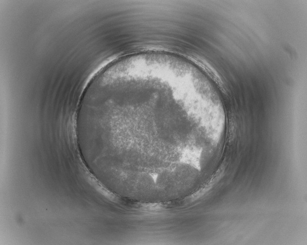 X0000114110798200911161117