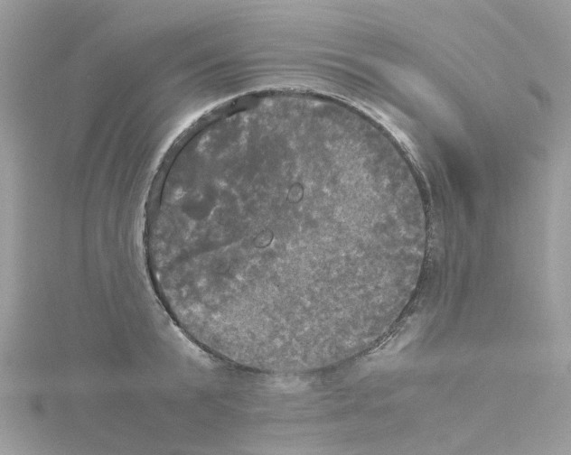 X0000114110799200911161117