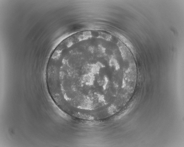 X0000114110803200911161117