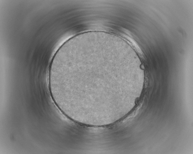 X0000114110804200911161117