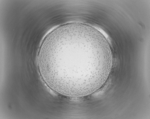 X0000114110807200911161117