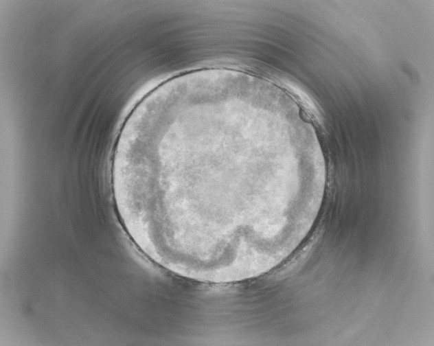 X0000114110808200911161117