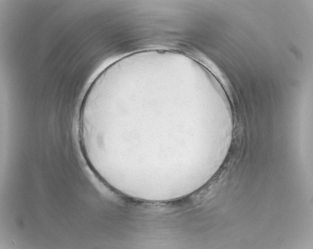 X0000114110811200911161117