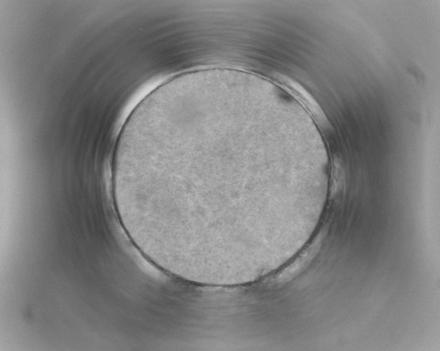 X0000114110812200911161117