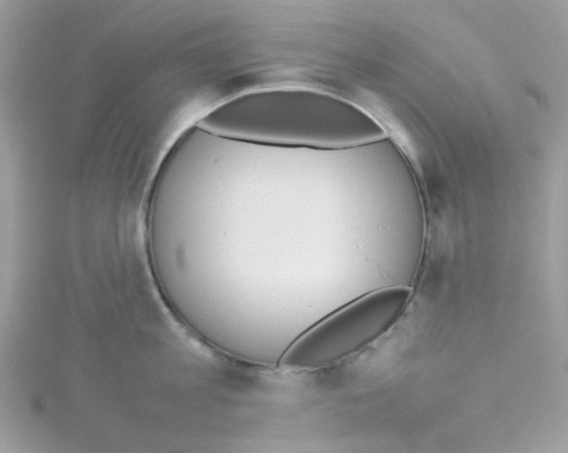 X0000114110813200911161117