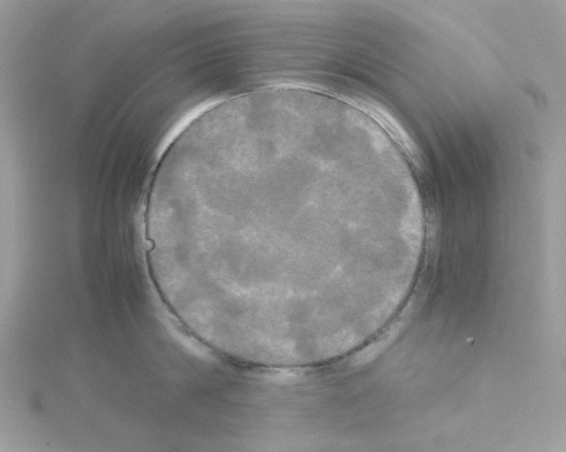 X0000114110814200911161117