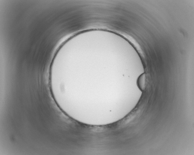 X0000114110815200911161117