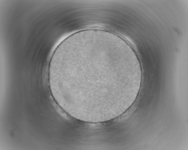 X0000114110816200911161117