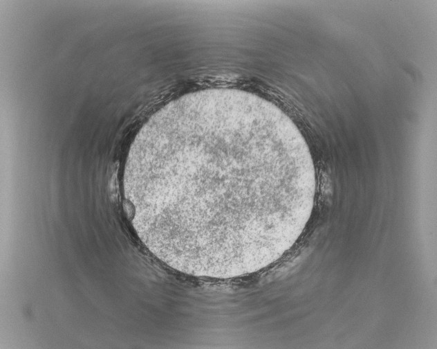 X0000114110818200911161117