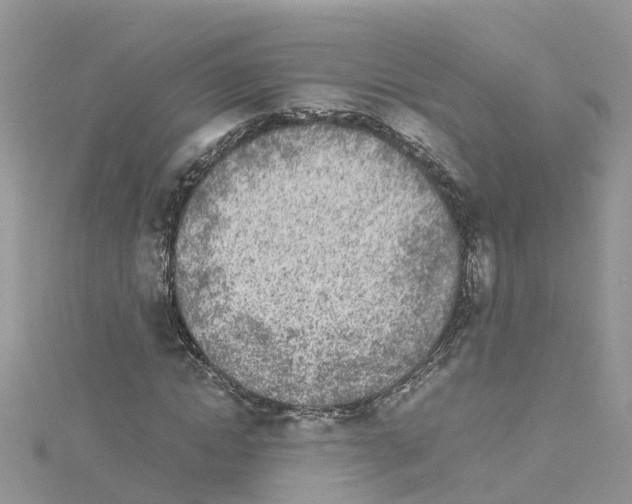 X0000114110822200911161117