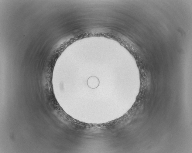 X0000114110824200911161117