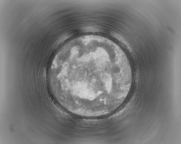 X0000114110825200911161117