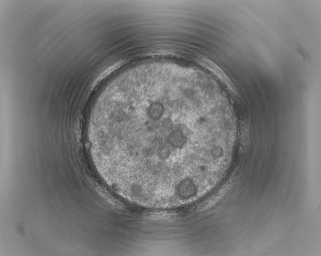 X0000114110826200911161117