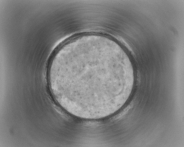 X0000114110830200911161117