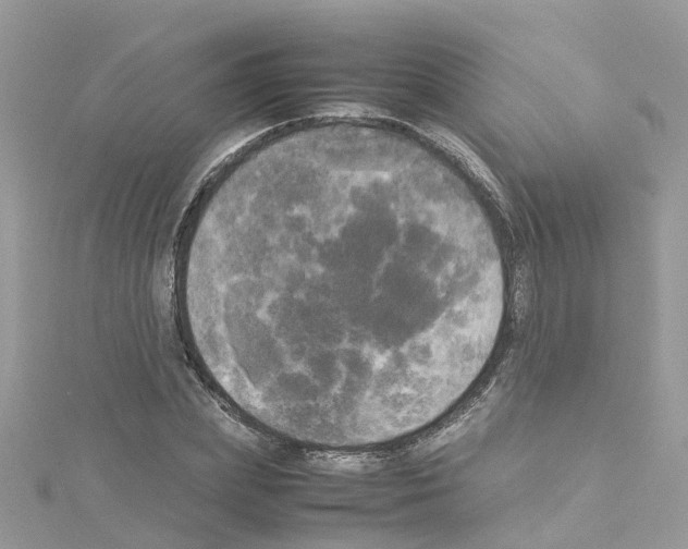 X0000114110831200911161117