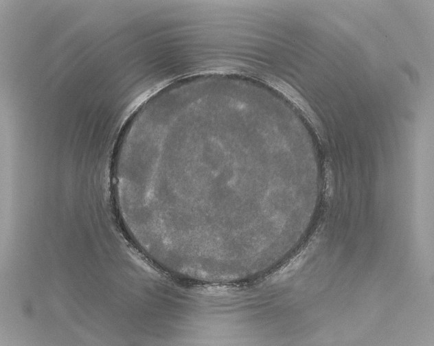 X0000114110834200911161117