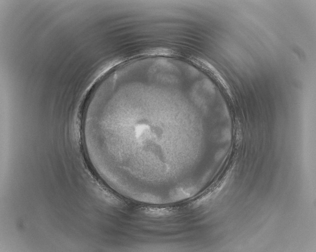 X0000114110835200911161117