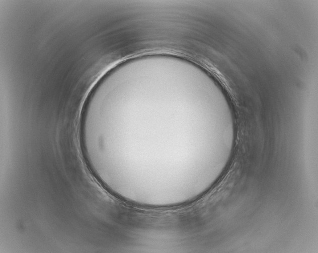 X0000114110836200911161117