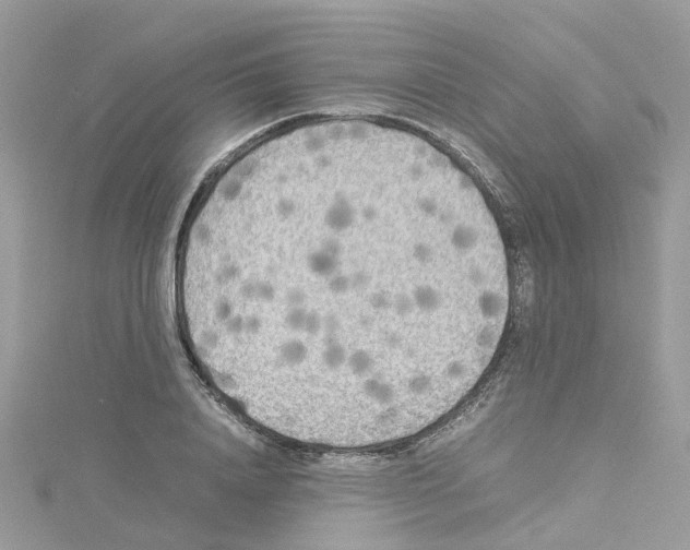 X0000114110840200911161117