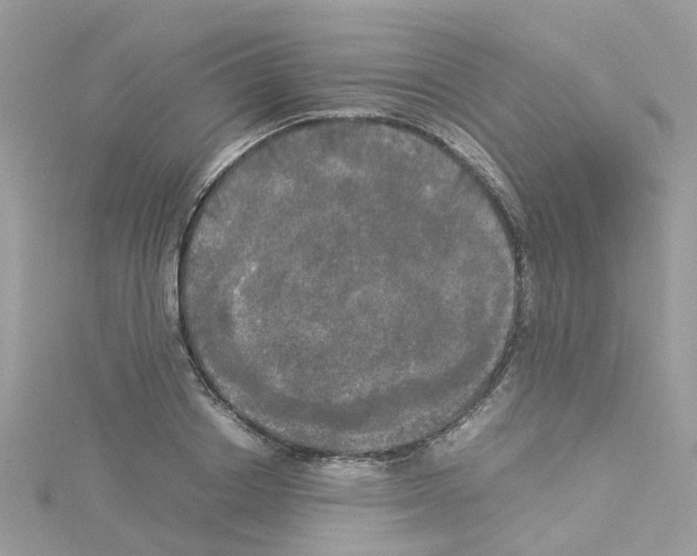 X0000114110842200911161117