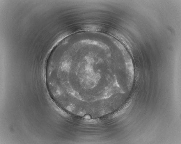 X0000114110843200911161117