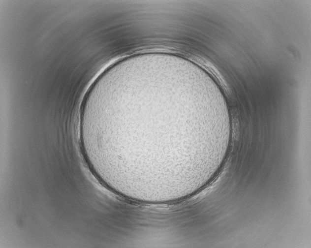 X0000114110844200911161117