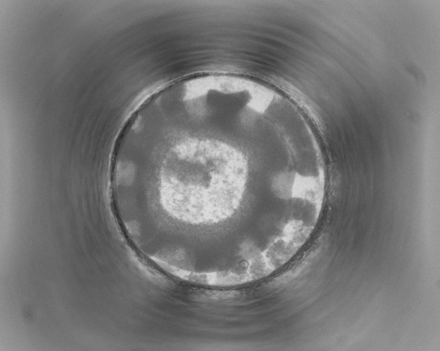 X0000114110845200911161117